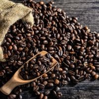 فروش عمده دان قهوه پی بی