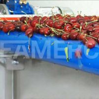 سازنده خط تولید کمپوت گیلاس سیمرکو تهران