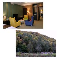 فروش هتل نوساز جنگلی شمال ایران