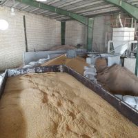 فروش پودر میگو ، خرید پودر میگو