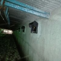 فروش مرغداری گوشتی با سند شش دانگ در گرمسار