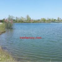 فروش استخر پرورش ماهی در رشت