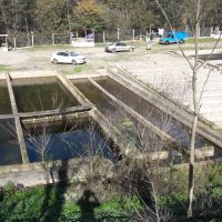 فروش پرورش ماهی سردآبی در گیلان