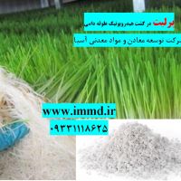 فروش پرلیت در کشت هیدروپونیک علوفه دامی