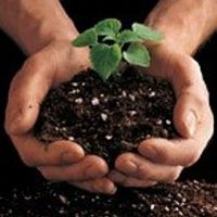 فروش پرلیتperlite : با خرید پرلیت زمین کاو و ترکیب آن با کودهای آلی محصول تولیدی خود را از دیگر محصولات مشابه متمایز نمایید.