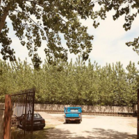 فروش 1550 متر کارگاه در  صومعه سرا