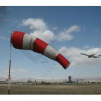 فروش انواع بادنما در تهران