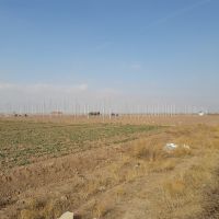 زمین مزروعی30۰هکتار با سند شش دانگ تک برگ