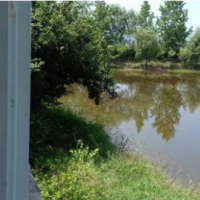 فروش دوهکتار مزرعه پروش ماهی و دام در شفت گیلان