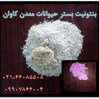 فروش بنتونیت بستر حیوانات معدن کاوان
