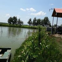 فروش استخر پرورش ماهی در رشت