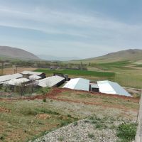 فروش مرغداری صنعتی 30000قطعه در کرمانشاه