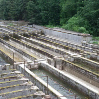 3000 متر استخر پرورش ماهی به همراه ویلا در ساری