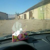 فروش کارخانه ریسندگی و بافندگی فرش در جاده قم