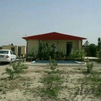 فروش زمین پرورش شترمرغ