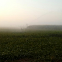 فروش مجموعه کشاورزی و گاوداری و پرورش ماهی در اراک