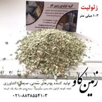 زئولیت و جذب فلزات سنگین  (Zeolite)