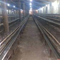 فروش مرغداری در اطراف تهران