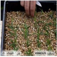 فروش ورمیکولیت (Vermiculite)