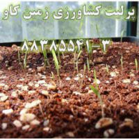 پرلیت و مزایای آن در کشاورزی Perlite