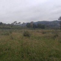 فروش 3 هکتار زمین برای پرورش ماهی و دام در املش