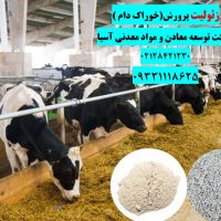 فروش زئولیت در خوراک دام و طیور