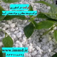 فروش پرلیت در کشاورزی
