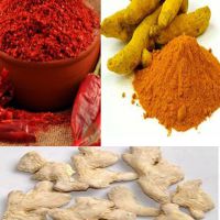 پخش عمده ادویه جات در اصفهان عطاری حاج حسین فیض مند و پسران