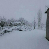 فروش یا معاوضه 1000 متر سوله برای تولیدی و انبار در مشهد