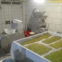 ماشین آلات و خط تولید انواع مغزها در اصفهان فروشی