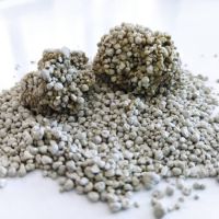 فروش ویژه خاک گربه