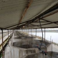 فروش مزرعه پرورش ماهی خاویاری در گلستان