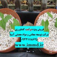 فروش ویژه پرلیت