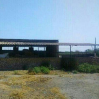 فروش 1000 متر دامداری در بندرترکمن