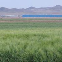 فروش زمین کشاورزی به همراه دامداری در گرمسار