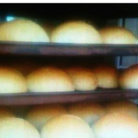 تولید کننده ی انواع نان فانتزی