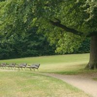 تولید آب از هوا