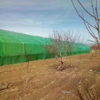 فروش 3000 متر گلخانه در الیگودرز