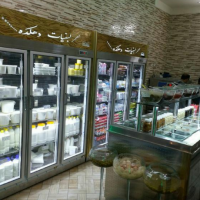 تولید کننده یخچال فریزر صنعتی در تهران