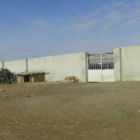 فروش 800 متر زمین و دامداری در گنبدکاووس