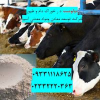 فروش دولومیت در تهیه خوراک دام و طیور