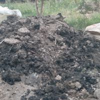 فروش کودهای ارگانیک و شیمیایی