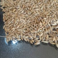 جو روسیه و آذربایجان