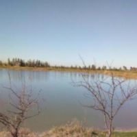 فروش 2 هکتار پرورش ماهی در بهشهر