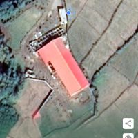 پرورش ماهی قزل الا بچه ماهی تا پروار