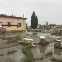 واگذاری واحد صنعتی با شرایط ویژه تولید موزاییک کف