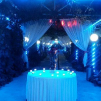 نیاز به شریک سرمایه گذار در باغ تالار در شهریار