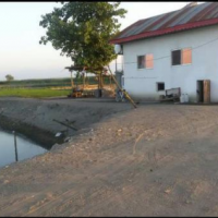 فروش ٤هکتار پرورش ماهی در بندر انزلی