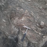 فروش خاک طلا