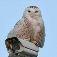 نصب و تعمیرات دوربین های مداربسته در تهران